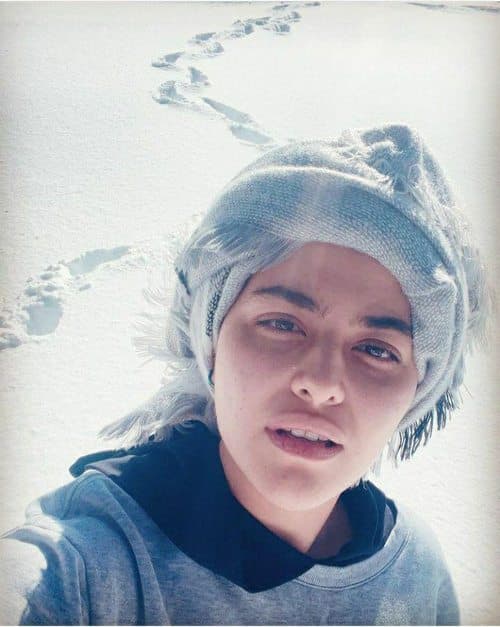 معنی شاخ اینستاگرام