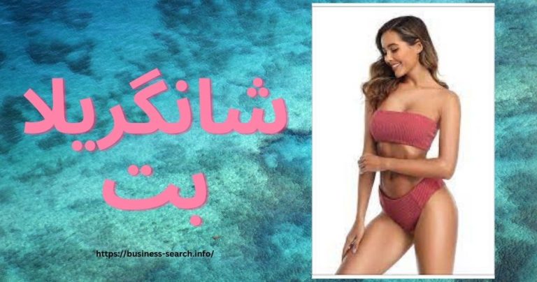 شانگریلا بت