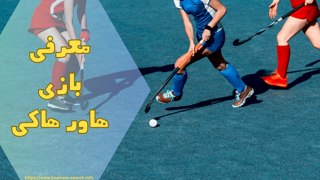 معرفی بازی هاور هاکی 